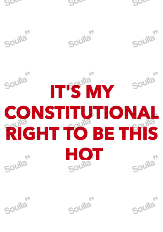 It's my right to Hot Embroidered Cap