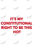 It's my right to Hot Embroidered Cap
