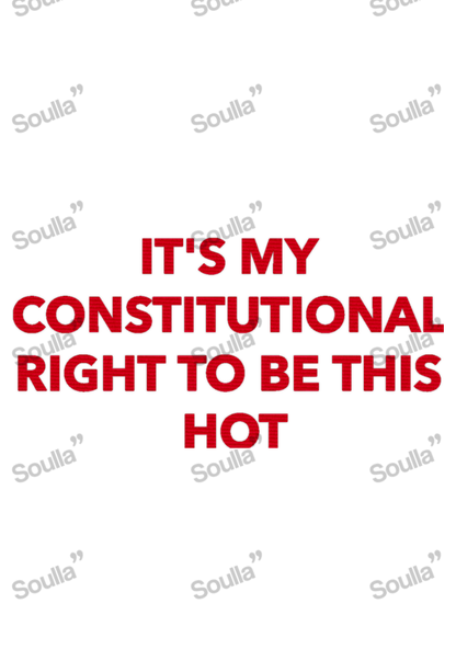 It's my right to Hot Embroidered Cap
