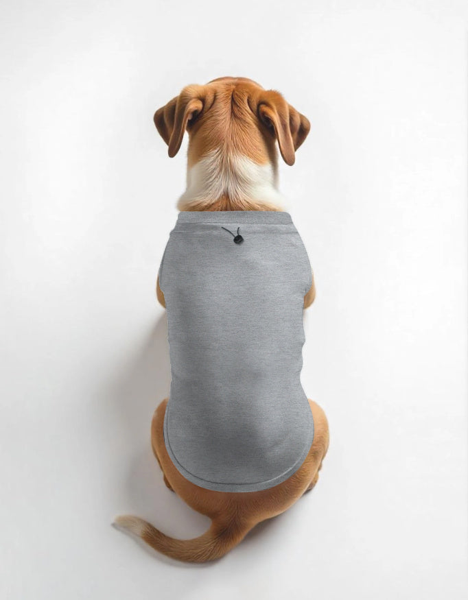 Dog T-Shirts: Grey Melange