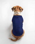 Dog T-Shirts: Regal Blue