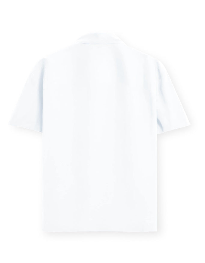 Back_3_c_1.jpg