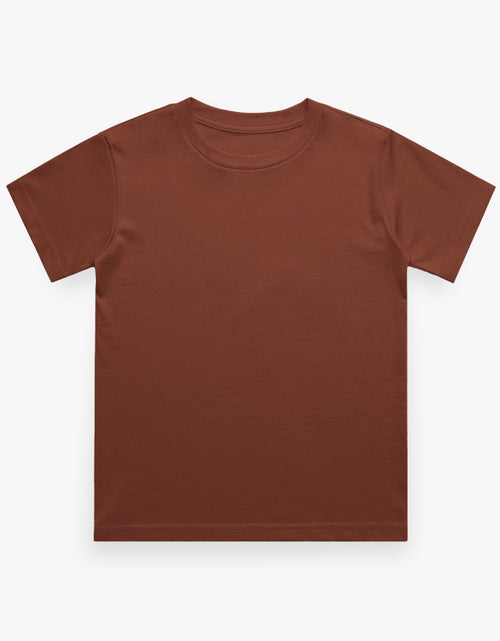 Boys Regular Tee - Earthy Red