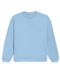 Regular Fleece Sweatshirt: Powder Blue